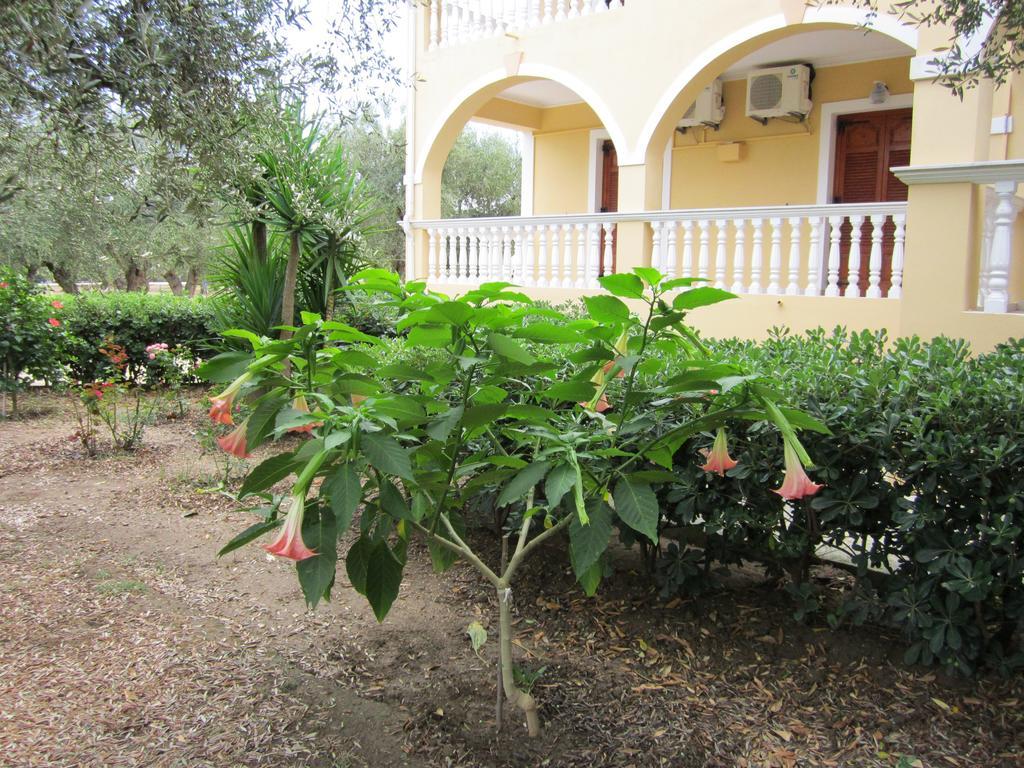 Dimaras Apartments Ανω Βασιλικος Δωμάτιο φωτογραφία
