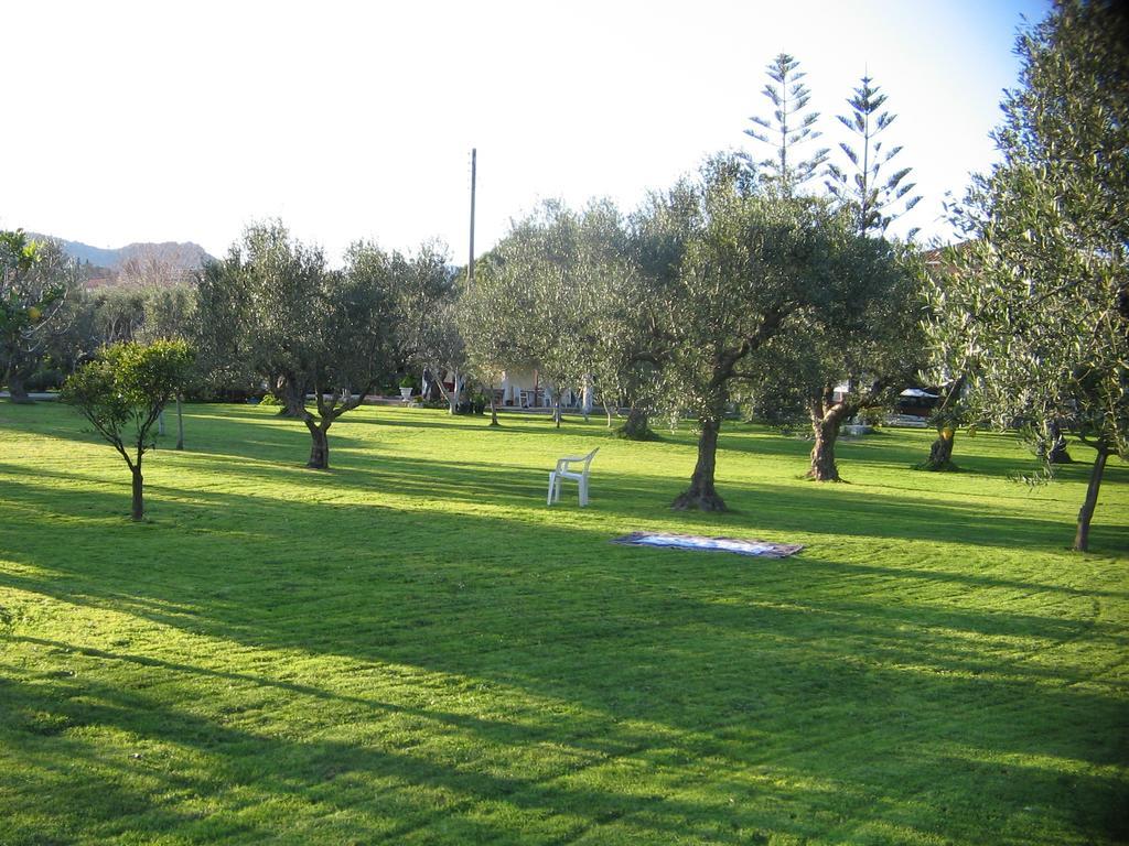 Dimaras Apartments Ανω Βασιλικος Εξωτερικό φωτογραφία