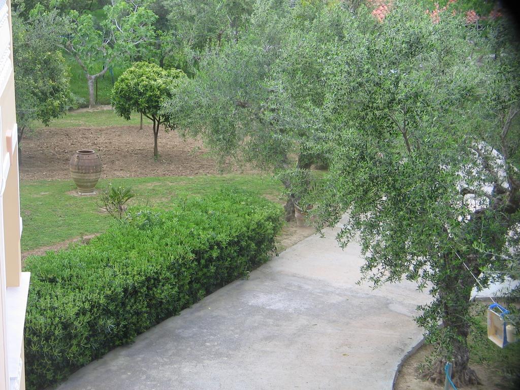 Dimaras Apartments Ανω Βασιλικος Εξωτερικό φωτογραφία