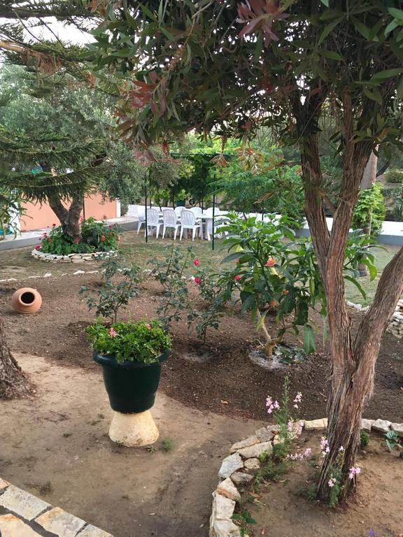 Dimaras Apartments Ανω Βασιλικος Εξωτερικό φωτογραφία