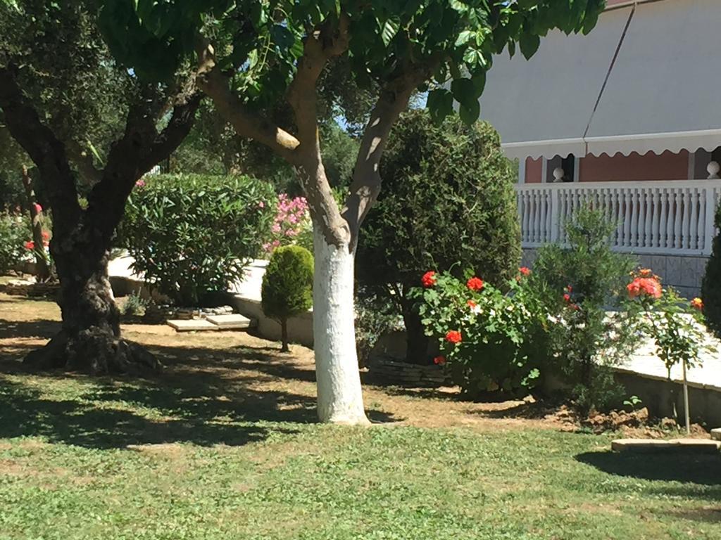Dimaras Apartments Ανω Βασιλικος Εξωτερικό φωτογραφία