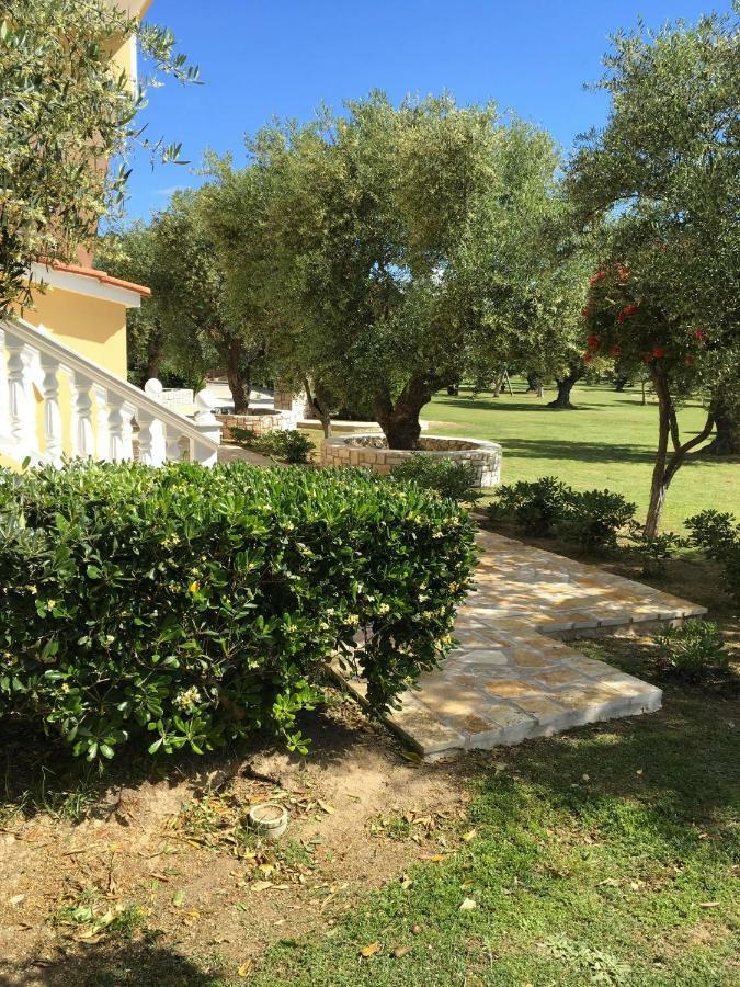 Dimaras Apartments Ανω Βασιλικος Εξωτερικό φωτογραφία