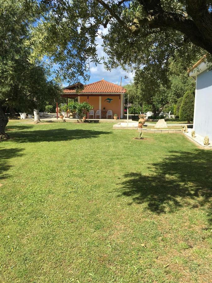 Dimaras Apartments Ανω Βασιλικος Εξωτερικό φωτογραφία