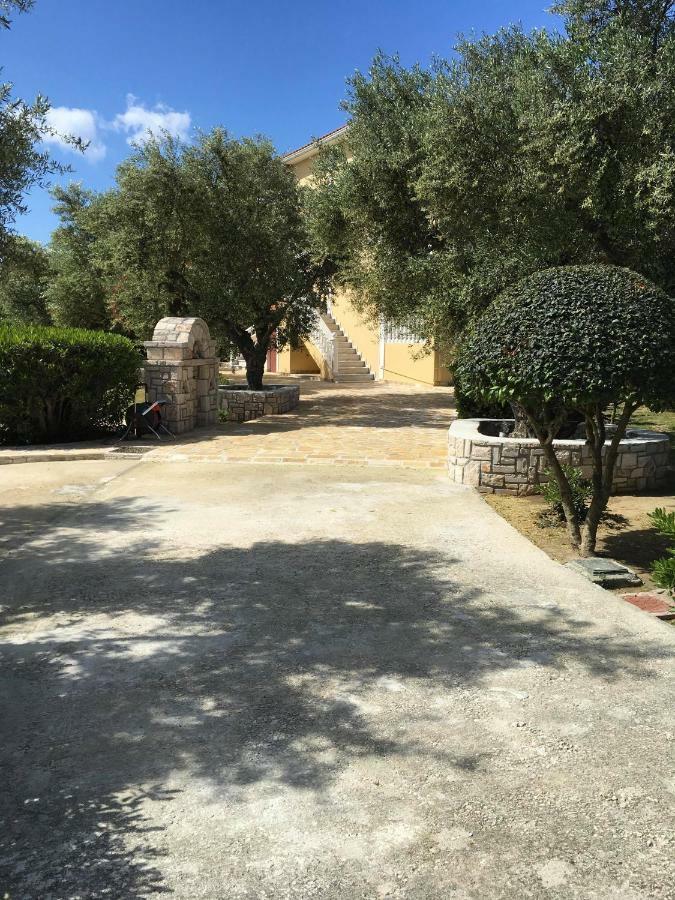 Dimaras Apartments Ανω Βασιλικος Εξωτερικό φωτογραφία