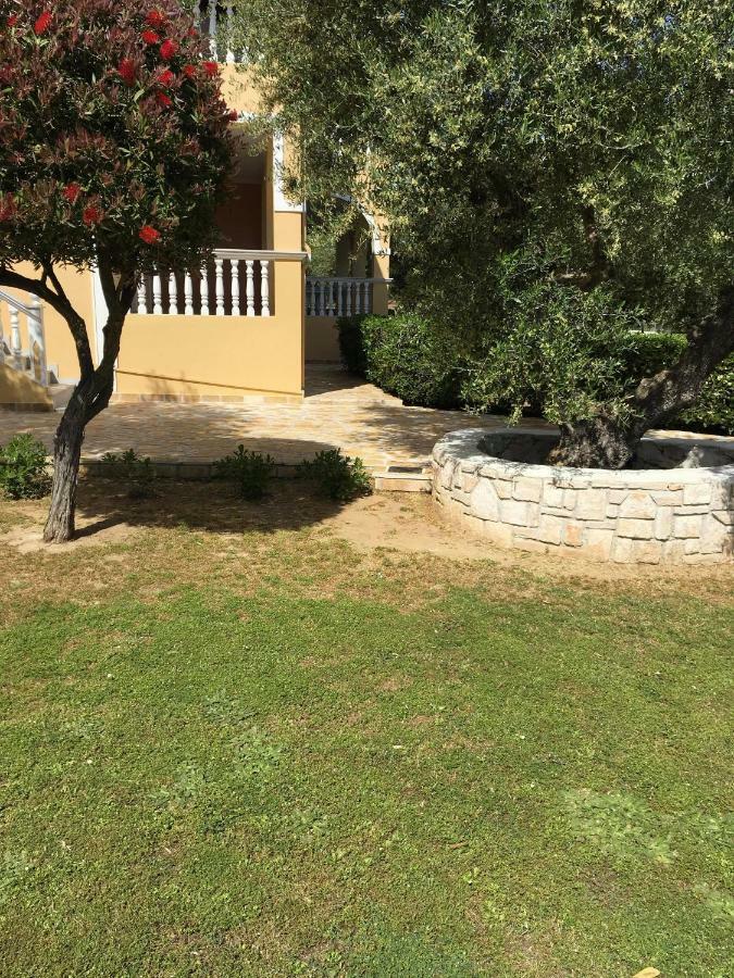 Dimaras Apartments Ανω Βασιλικος Εξωτερικό φωτογραφία